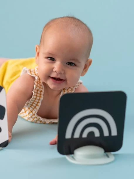 Cartes D'Activités - TAF TOYS Multicolore - Taf Toys 7 Cartes D'Activités - TAF TOYS Multicolore - Taf Toys – Image 5