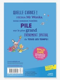 Charlie Et Le Grand Ascenseur De Verre - GALLIMARD JEUNESSE Bleu - Gallimard -Magasin De Périphériques Pour Enfants charlie et le grand ascenseur de verre gallimard jeunesse 1