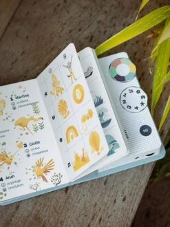 Hoomkid, La Conteuse Des émotions - LIVLAB Vert - Livlab -Magasin De Périphériques Pour Enfants hoomkid la conteuse des emotions livlab 2