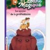 La Cabane Magique - T.6 - Le Sorcier De La Préhistoire - BAYARD JEUNESSE Blanc - Hachette 2 La Cabane Magique - T.6 - Le Sorcier De La Préhistoire - BAYARD JEUNESSE Blanc - Hachette -Magasin De Périphériques Pour Enfants la cabane magique t.6 le sorcier de la prehistoire bayard jeunesse