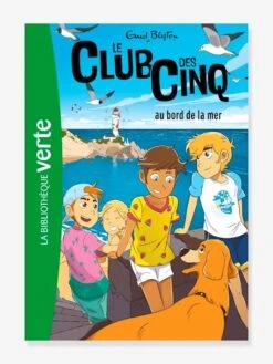 Le Club Des 5 Au Bord De La Mer - Tome 11 - HACHETTE Blanc - Hachette