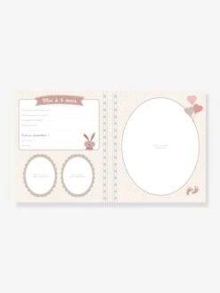 Livre De Naissance - Il était Une Fois Bébé LAROUSSE Bleu - Hachette -Magasin De Périphériques Pour Enfants livre de naissance il etait une fois bebe larousse 5