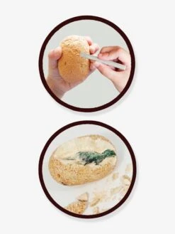 Maxi Pack 12 Oeufs Dinosaures - BUKI Orange - Buki 9 Maxi Pack 12 Oeufs Dinosaures - BUKI Orange - Buki -Magasin De Périphériques Pour Enfants maxi pack 12 oeufs dinosaures buki 2