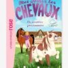 Mes Amis Les Chevaux - T.1 - Un Nouveau Pensionnaire - HACHETTE Blanc - Hachette -Magasin De Périphériques Pour Enfants mes amis les chevaux t.1 un nouveau pensionnaire hachette