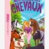 Mes Amis Les Chevaux - T.35 - L'anniversaire De Sophie - HACHETTE Blanc - Hachette -Magasin De Périphériques Pour Enfants mes amis les chevaux t.35 lanniversaire de sophie hachette