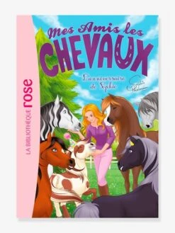 Mes Amis Les Chevaux - T.35 - L'anniversaire De Sophie - HACHETTE Blanc - Hachette