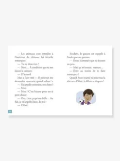 Mes Premières Enquêtes - T.1 - Le Fantôme Du Château - AUZOU Marron - Auzou -Magasin De Périphériques Pour Enfants mes premieres enquetes t.1 le fantome du chateau auzou 2