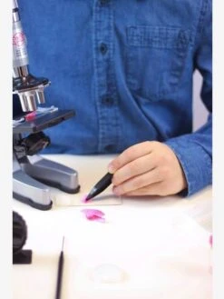 Microscope - 30 Expériences BUKI Rouge - Buki 11 Microscope - 30 Expériences BUKI Rouge - Buki -Magasin De Périphériques Pour Enfants microscope 30 experiences buki 4