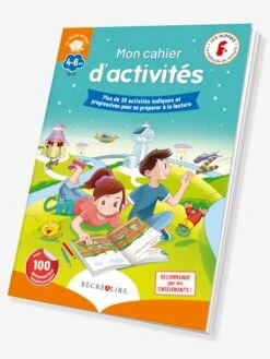 Mon Cahier D'Activités Le Déclic Lecture Les Alphas - RÉCRÉALIRE Bleu Et Orange - Recrealire -Magasin De Périphériques Pour Enfants mon cahier dactivites le declic lecture les alphas recrealire 1