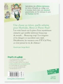 Sur La Piste De La Salamandre - Enquête Au Collège - T4 - GALLIMARD JEUNESSE Jaune - Gallimard 5 Sur La Piste De La Salamandre - Enquête Au Collège - T4 - GALLIMARD JEUNESSE Jaune - Gallimard -Magasin De Périphériques Pour Enfants sur la piste de la salamandre enquete au college t4 gallimard jeunesse 1